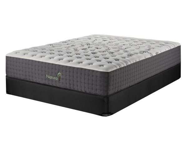 Abinette Mattress - Firm | Foam Core